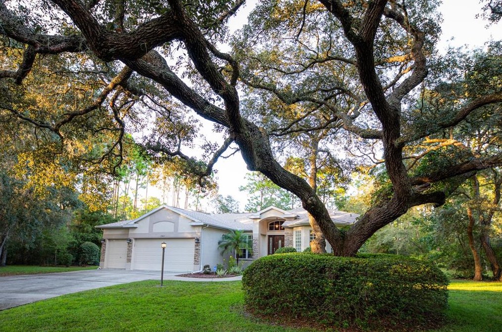 15411 Vanessa Ln, Brooksville, FL 34604