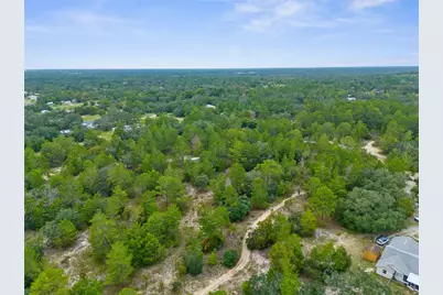 Madison Street, Brooksville, FL 34613 - Photo 4