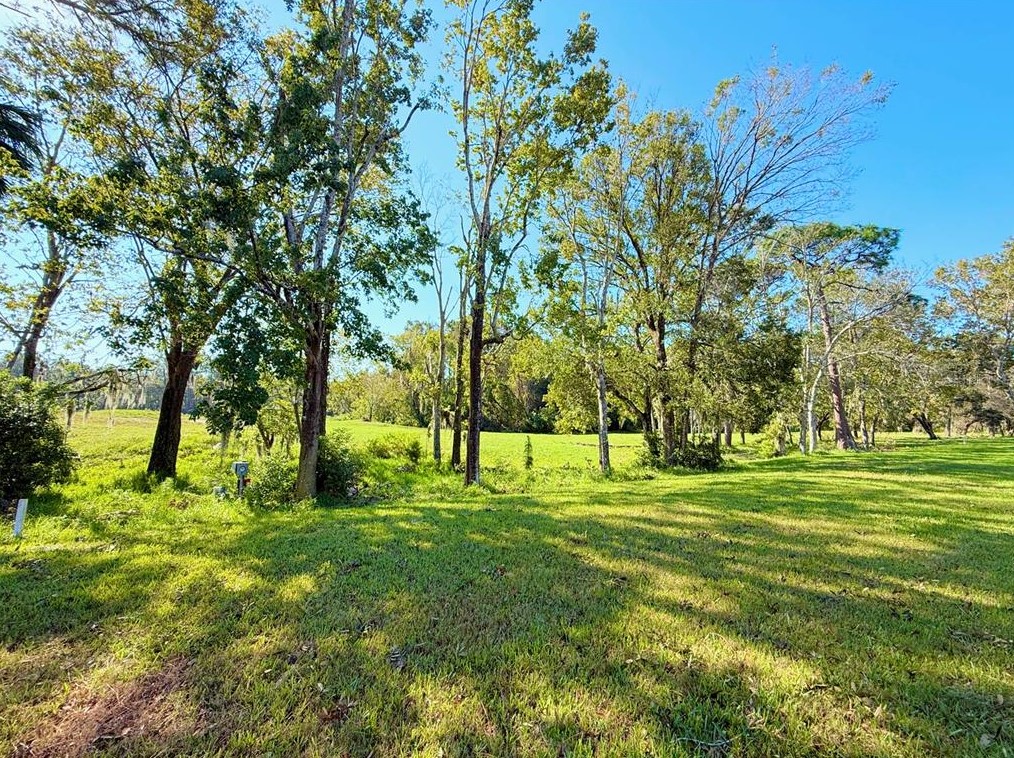 10616 Millriver Dr, New Port Richey, FL 34654