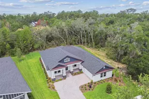 6109 Dusk Rose Ln, Brooksville, FL 34601 - Photo 2