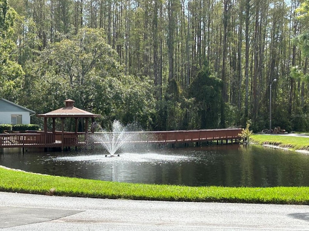7635 Piping Rock Ct, New Port Richey, FL 34654