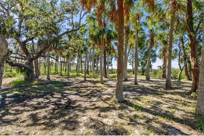 8812 Camp Lane, Hudson, FL 34667 - Photo 12