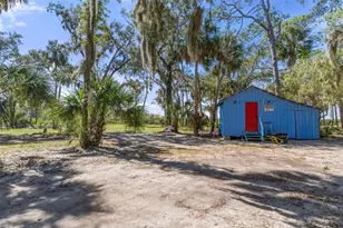 8812 Camp Ln, Hudson, FL 34667 - Photo 6