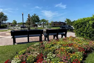 21118 Passive Porch Dr, Land O Lakes, FL 34637 - Photo 36