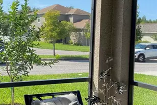 21118 Passive Porch Dr, Land O Lakes, FL 34637 - Photo 6