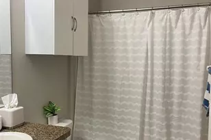 21118 Passive Porch Dr, Land O Lakes, FL 34637 - Photo 16