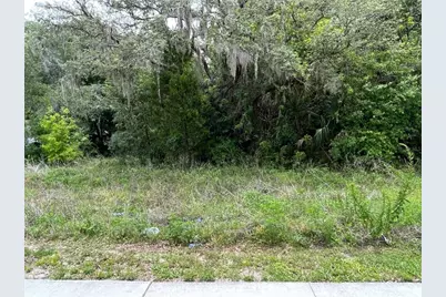 12120 Hicks Road, Hudson, FL 34669 - Photo 4