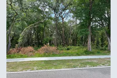 12120 Hicks Road, Hudson, FL 34669 - Photo 6