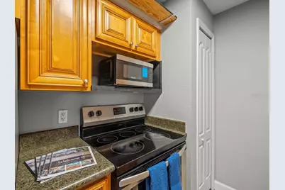 230 Thorn Tree Place #230, Brandon, FL 33510 - Photo 10