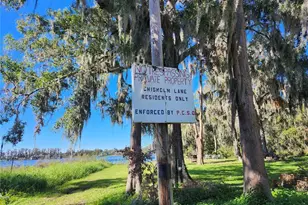 14328 Chisholm Ln, Odessa, FL 33556 - Photo 6