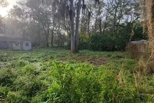 14328 Chisholm Ln, Odessa, FL 33556 - Photo 40