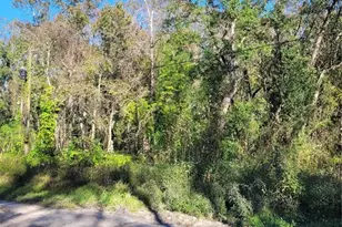 Morena St, New Port Richey, FL 34654 - Photo 1