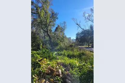 Morena Street #5, New Port Richey, FL 34654 - Photo 6