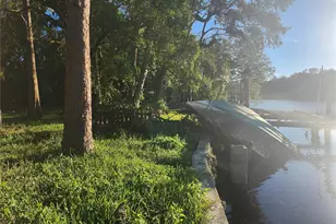 7222 N Ola Ave, Tampa, FL 33604 - Photo 58