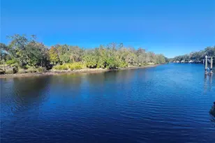 7222 N Ola Ave, Tampa, FL 33604 - Photo 4