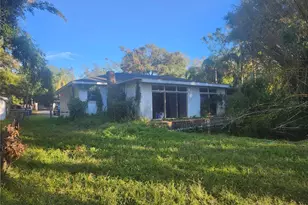 7222 N Ola Ave, Tampa, FL 33604 - Photo 68