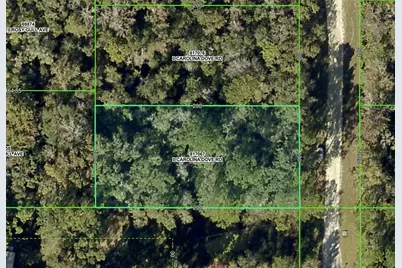 Lot 3 Carolina Dove Road, Weeki Wachee, FL 34614 - Photo 1