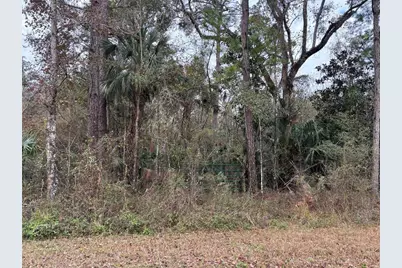 Lot 3 Carolina Dove Road, Weeki Wachee, FL 34614 - Photo 2