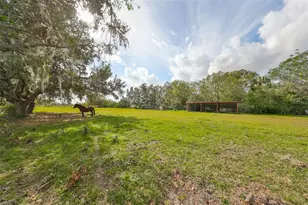15624 Carlton Lake Rd, Wimauma, FL 33598 - Photo 56