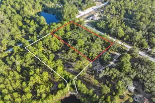 0 Ramsey Rd, Weeki Wachee, FL 34614 - Photo 1