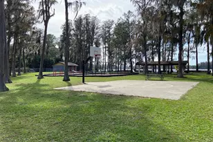 11743 Purdue St, New Port Richey, FL 34654 - Photo 28