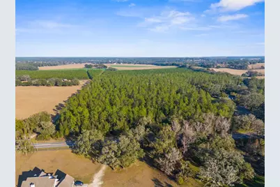 100 Spring Lake Highway, Brooksville, FL 34601 - Photo 6