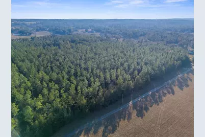 100 Spring Lake Highway, Brooksville, FL 34601 - Photo 8