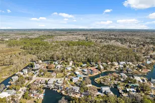 5287 Tuna Ln, Weeki Wachee, FL 34607 - Photo 76