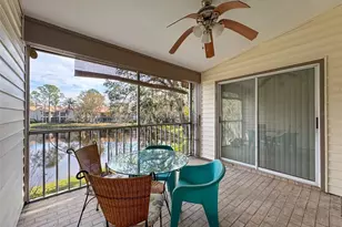 1203 Clays Trail, Oldsmar, FL 34677 - Photo 40