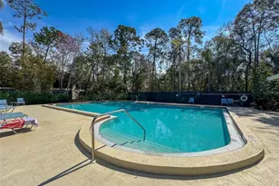 1203 Clays Trail, Oldsmar, FL 34677 - Photo 46