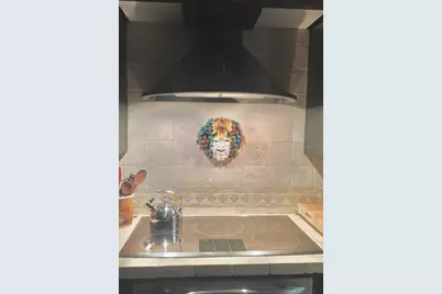 1624 Sea Breeze Drive, Tarpon Springs, FL 34689 - Photo 14