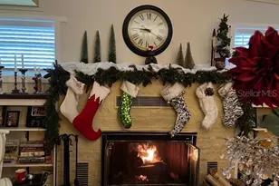 1624 Seabreeze Dr, Tarpon Springs, FL 34689 - Photo 16