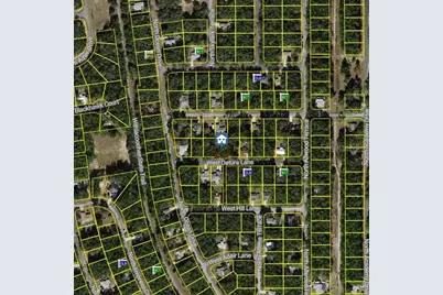 1645 W Datura Lane, Citrus Springs, FL 34434 - Photo 2