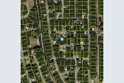 1661 W Datura Lane, Citrus Springs, FL 34434 - Photo 2