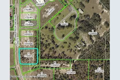 00 Anderson Snow Road, Spring Hill, FL 34609 - Photo 2