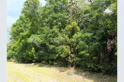 0 NW 70th Circle, Chiefland, FL 32626 - Photo 1