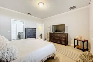 22004 Belgian Ct, Mount Dora, FL 32757 - Photo 30