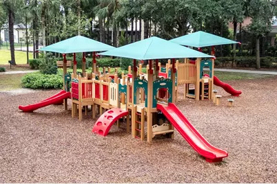 22004 Belgian Court, Mount Dora, FL 32757 - Photo 68