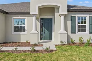 14421 Nonna Sky Dr Dr, Spring Hill, FL 34609 - Photo 6