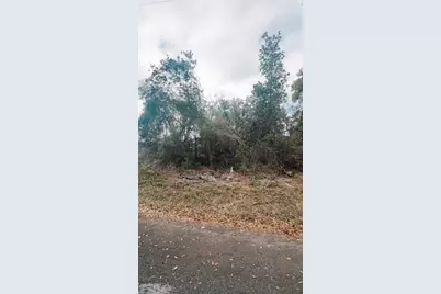 9113 E Royal Palm Drive, Inverness, FL 34450 - Photo 6