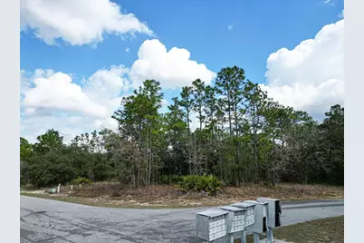 32 Speceberry Circle, Homosassa, FL 34446 - Photo 6