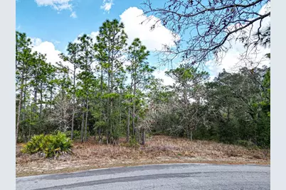 32 Speceberry Circle, Homosassa, FL 34446 - Photo 4