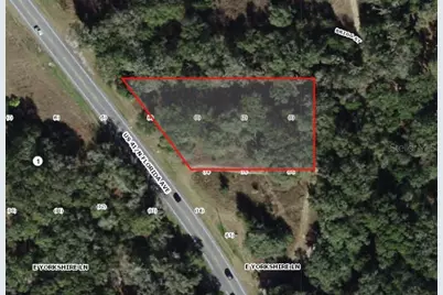 994 E Keighley Lane, Holder, FL 34445 - Photo 4