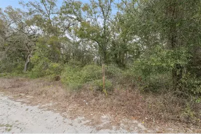 16308 Shady Hills Road, Spring Hill, FL 34610 - Photo 18