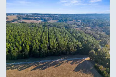 9999 Spring Lake Hwy, Brooksville, FL 34601 - Photo 1