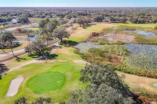 13227 Molitor Ct, Hudson, FL 34669 - Photo 60