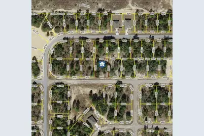 3421 W Parkview Drive, Dunnellon, FL 34433 - Photo 1