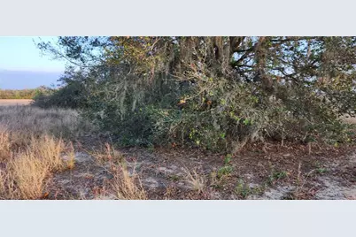 Us Us-27, Frostproof, FL 33843 - Photo 6