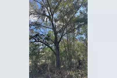 0 Courlan Road, Brooksville, FL 34614 - Photo 6