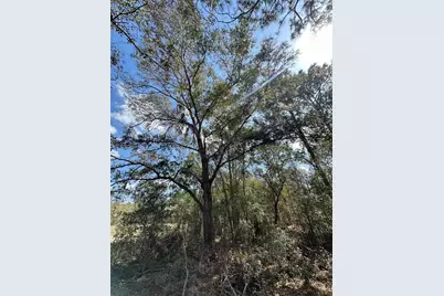 0 Courlan Road, Brooksville, FL 34614 - Photo 1
